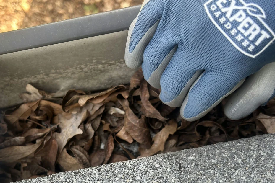 Gutter Cleaning Wendell